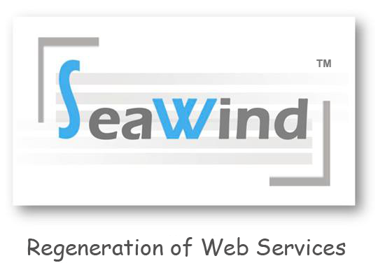 Seawind Solution Top Rated Company on 10Hostings